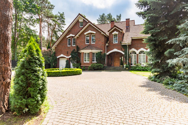 Best Residential Driveway Paver Services  in Palmview South, TX