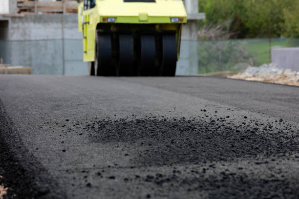 Best Professional Driveway Pavers  in Palmview South, TX
