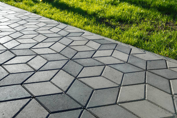 Best Paver Driveway Replacement  in Palmview South, TX