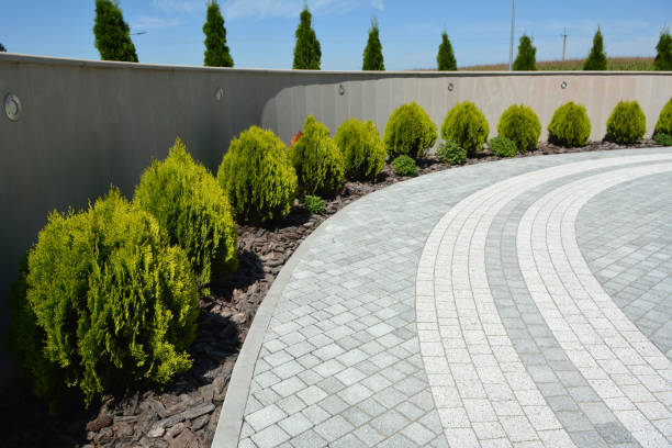 Trusted Palmview South, TX Driveway Pavers Experts