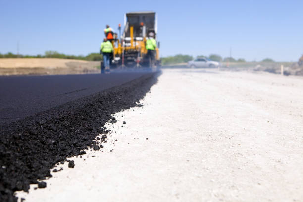 Best Driveway Paver Repair  in Palmview South, TX