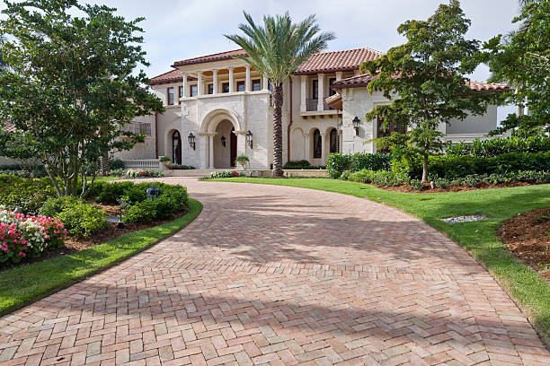 Best Local Driveway Pavers  in Palmview South, TX
