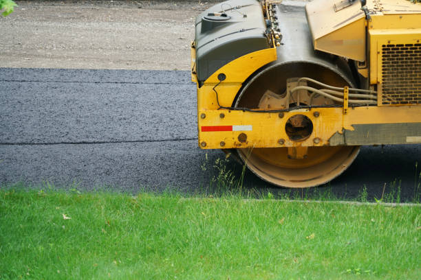 Best Driveway Repair Near Me  in Palmview South, TX