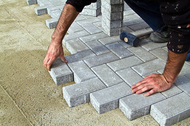 Best Residential Paver Driveway  in Palmview South, TX