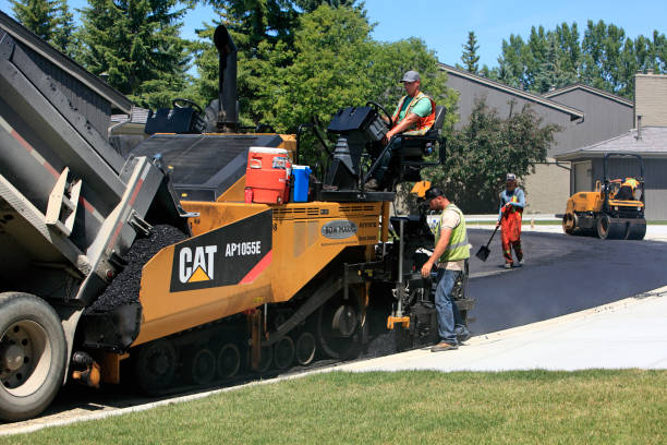 Best Decorative Driveway Pavers  in Palmview South, TX